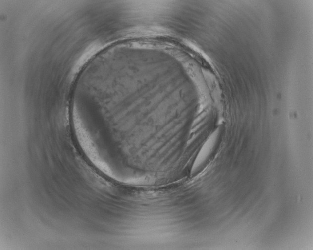 X0000077321459200611171730