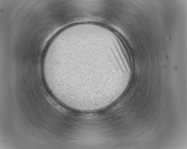 X0000077321460200611171730