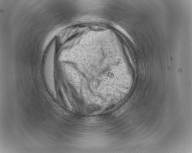 X0000077321461200611171730