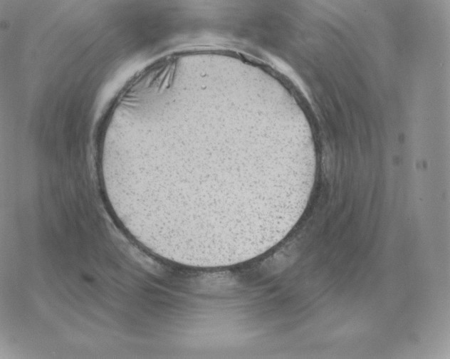 X0000077321464200611171730