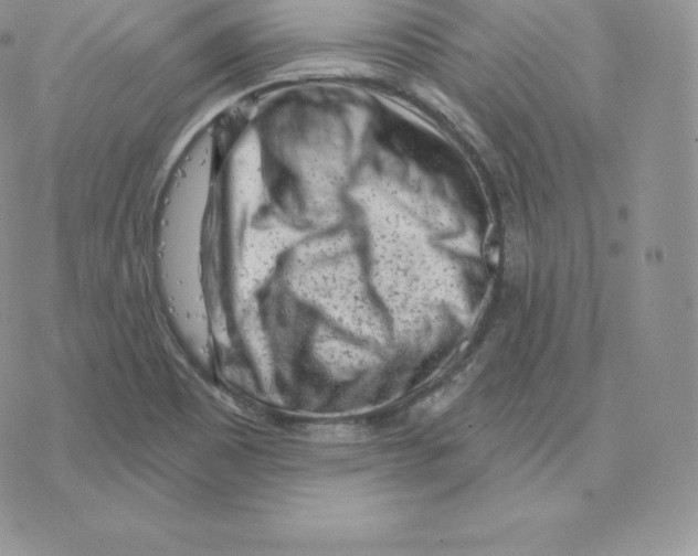 X0000077321465200611171730