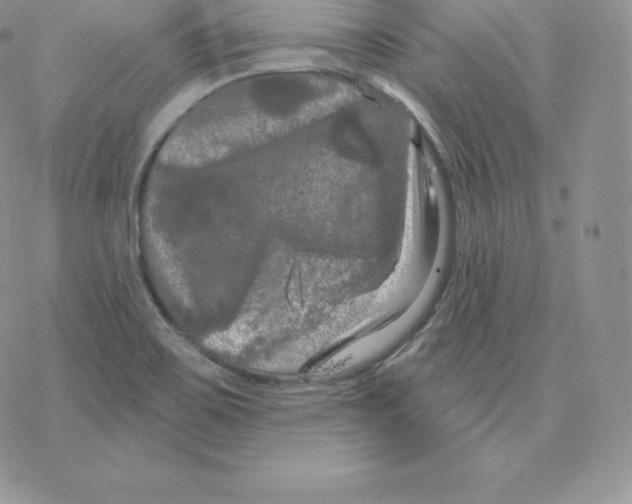 X0000077321467200611171730