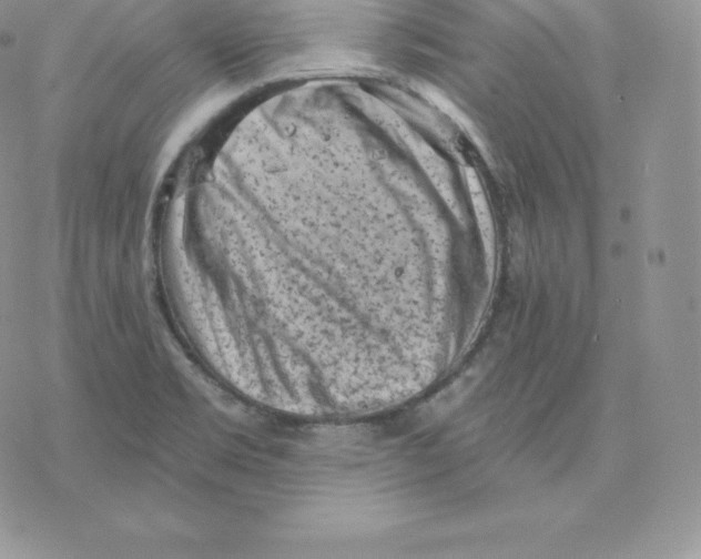 X0000077321469200611171730