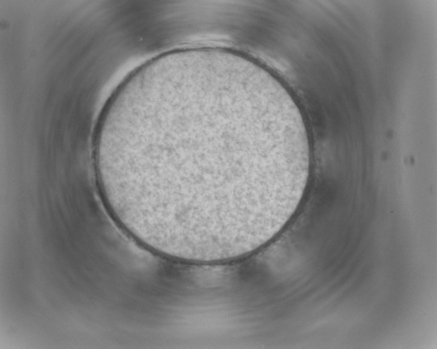 X0000077321470200611171730