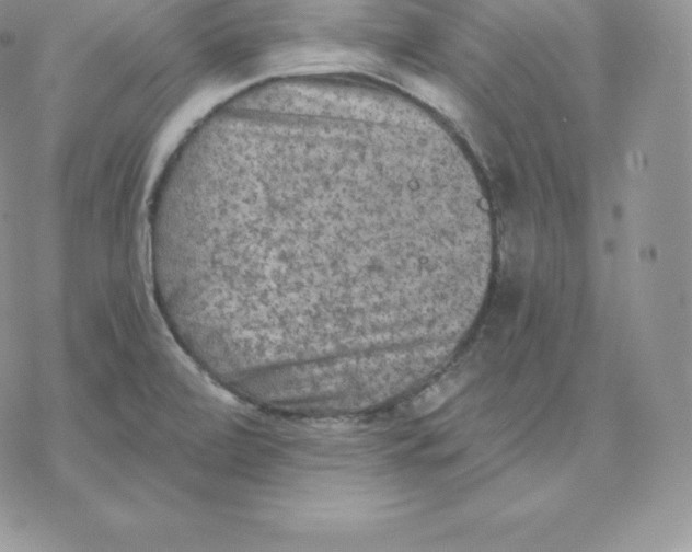 X0000077321472200611171730