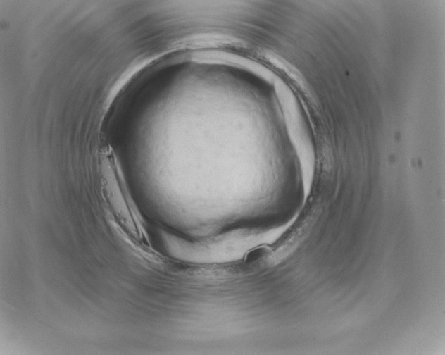 X0000077321473200611171730