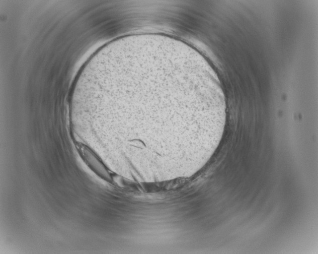 X0000077321476200611171730