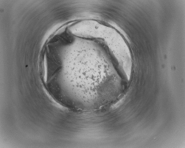 X0000077321477200611171730