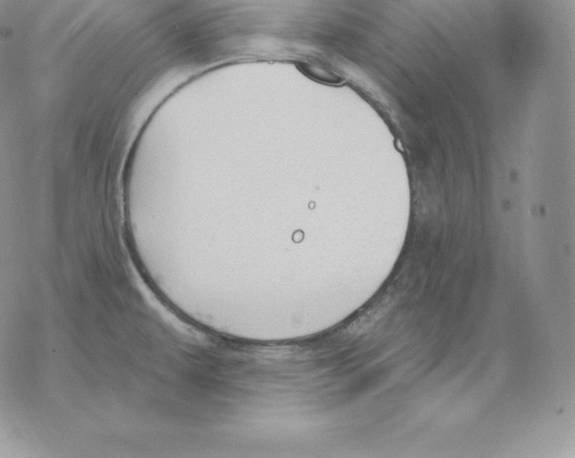 X0000077321479200611171730