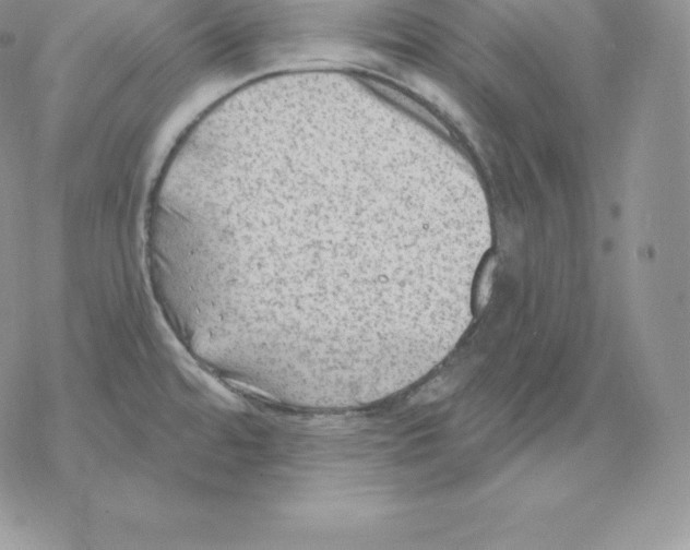 X0000077321480200611171730