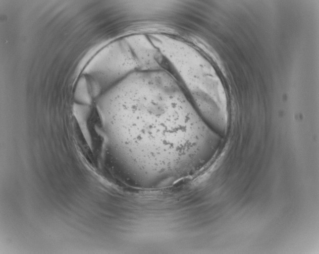 X0000077321481200611171730