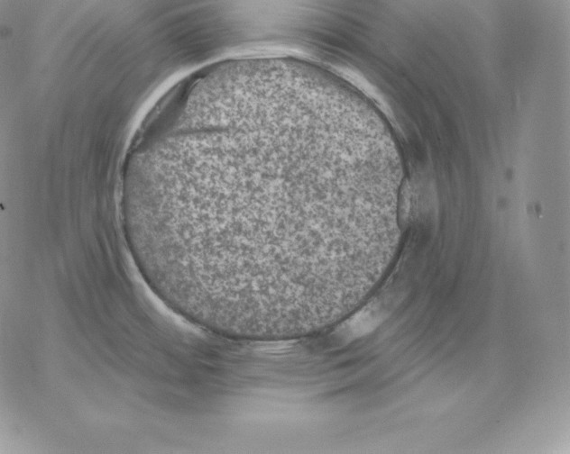 X0000077321484200611171730