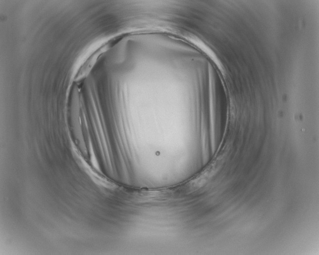 X0000077321485200611171730