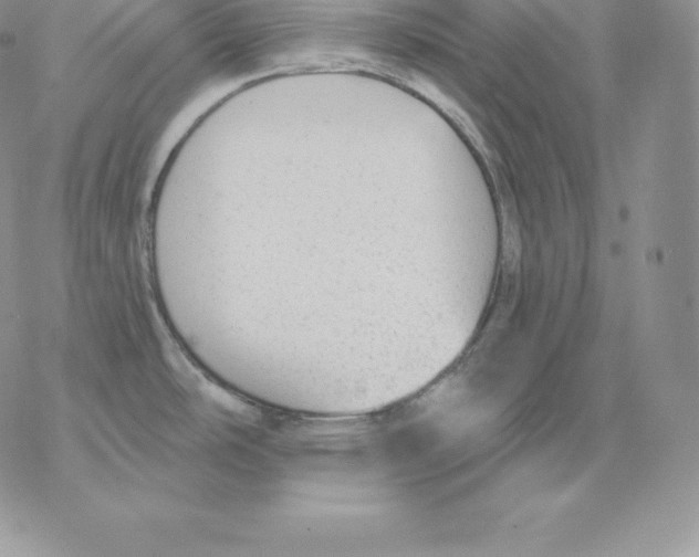 X0000077321486200611171730