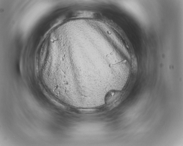 X0000077321487200611171730