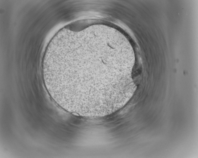 X0000077321488200611171730