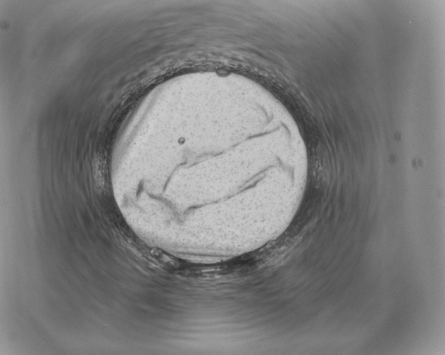 X0000077321490200611171729