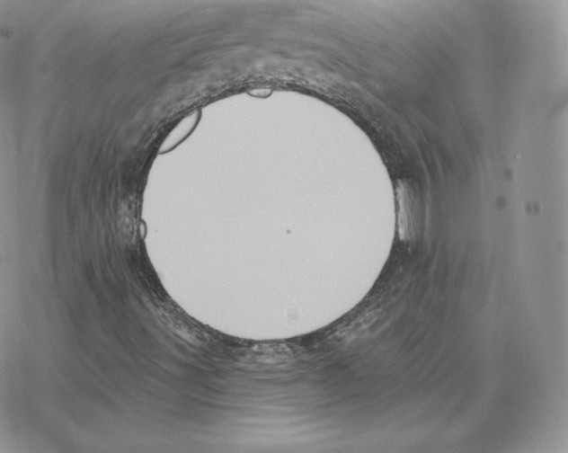 X0000077321491200611171729