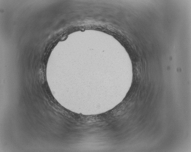 X0000077321493200611171729