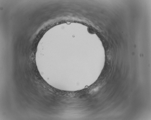 X0000077321495200611171729