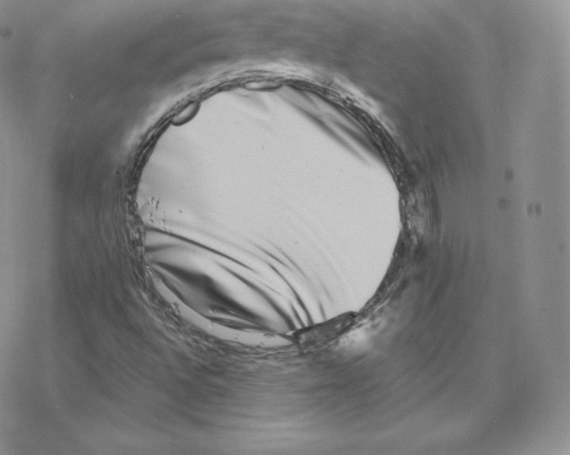 X0000077321496200611171729