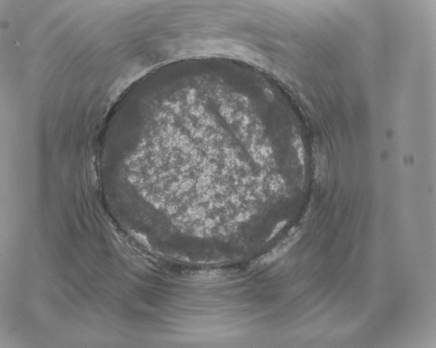 X0000077321497200611171729