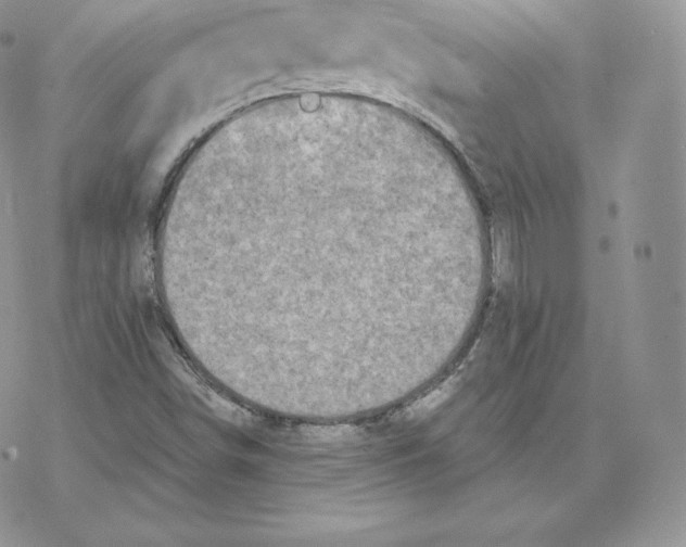 X0000077321498200611171729