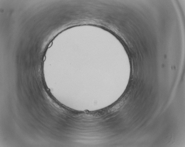 X0000077321500200611171729