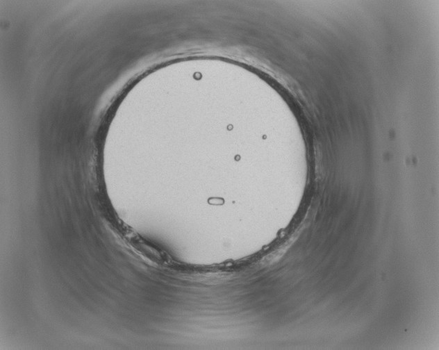 X0000077321502200611171729