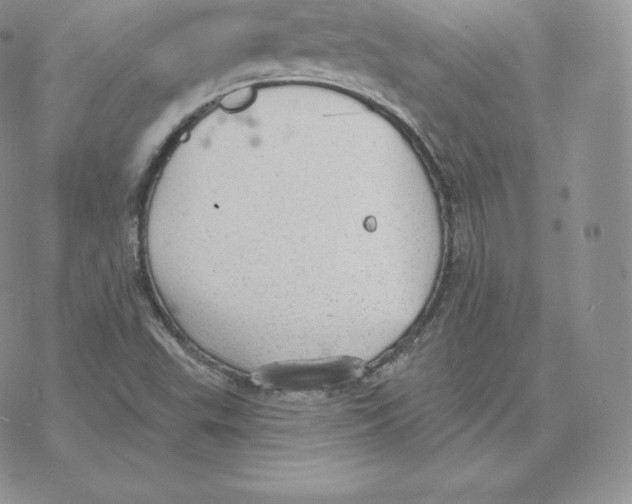 X0000077321503200611171729