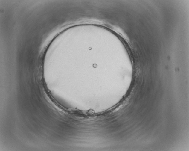 X0000077321504200611171729