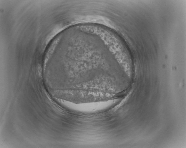 X0000077321505200611171729