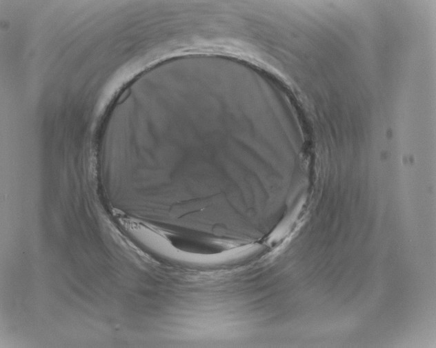 X0000077321506200611171729