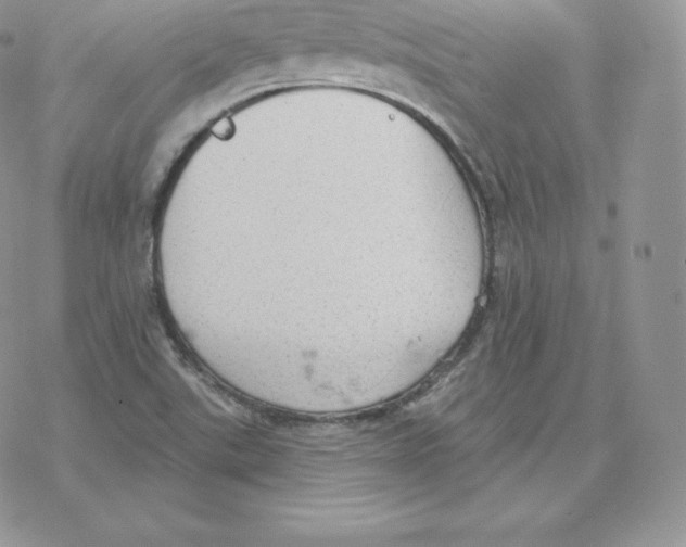 X0000077321507200611171729