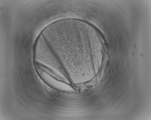 X0000077321508200611171729