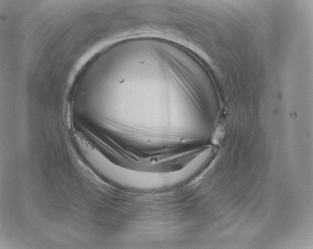 X0000077321510200611171729