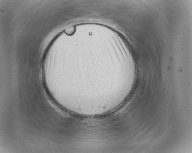 X0000077321511200611171729