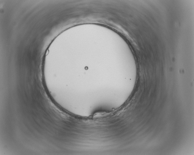 X0000077321512200611171729