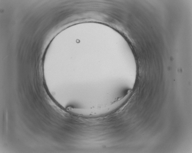 X0000077321516200611171729