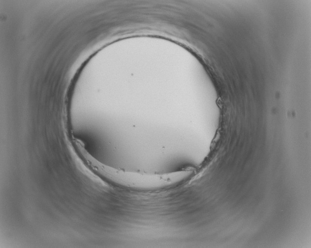 X0000077321518200611171729