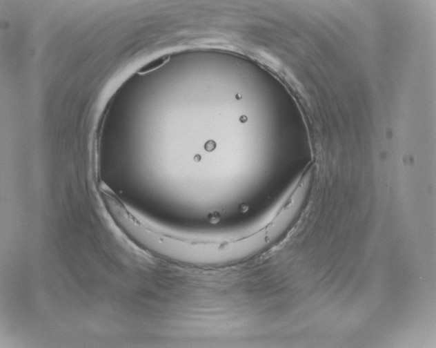 X0000077321520200611171729