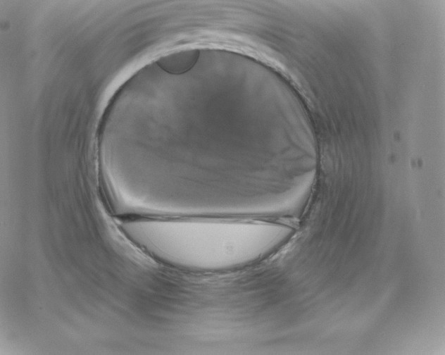 X0000077321522200611171730