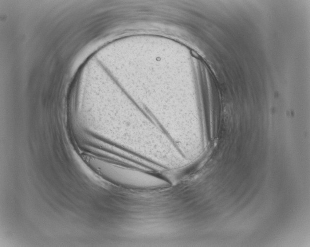 X0000077321523200611171730