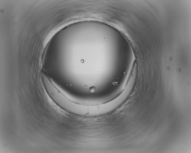 X0000077321524200611171730