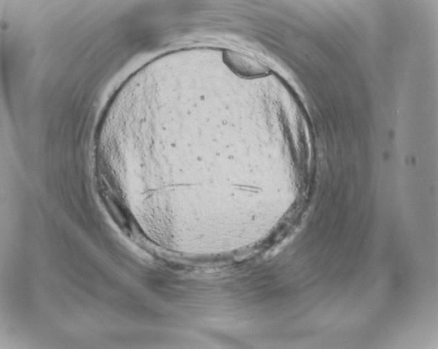 X0000077321525200611171730