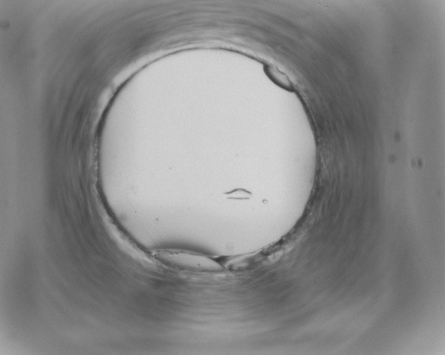 X0000077321526200611171730