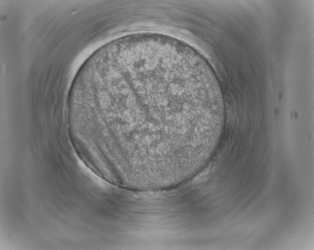 X0000077321527200611171730