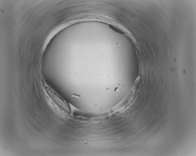 X0000077321530200611171730