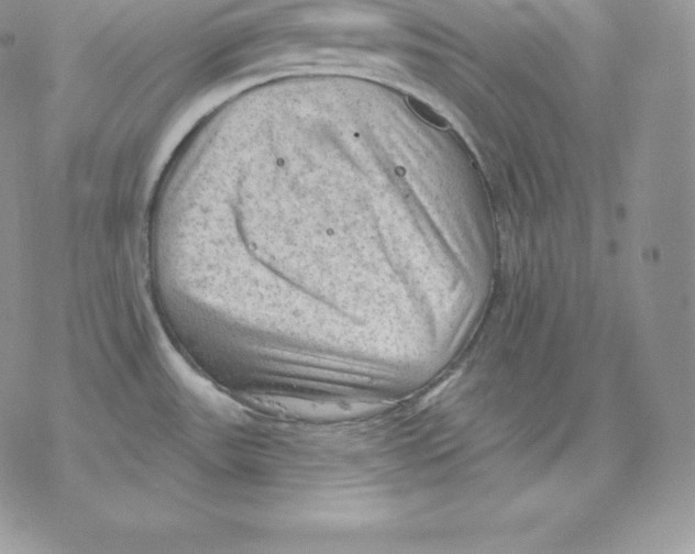 X0000077321531200611171730