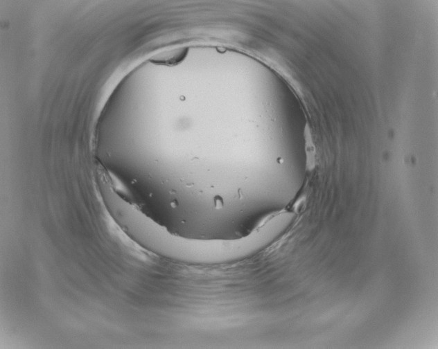 X0000077321532200611171730